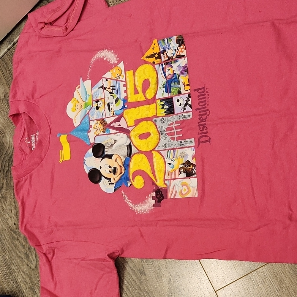 2015 disneyland shirt